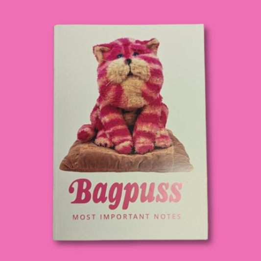 Bagpuss A5 blank Notebook