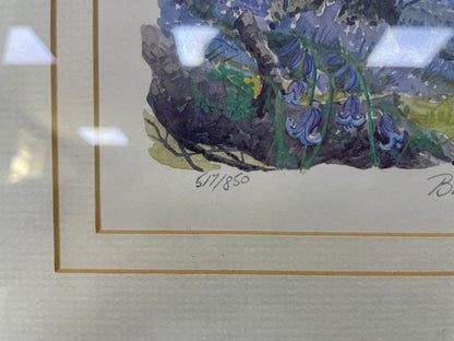 Bluebell Wood Landscape Angela Fieldes Framed Picture