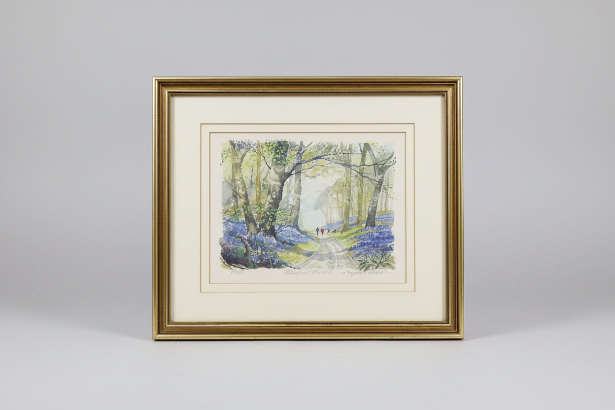 Bluebell Wood Landscape Angela Fieldes Framed Picture