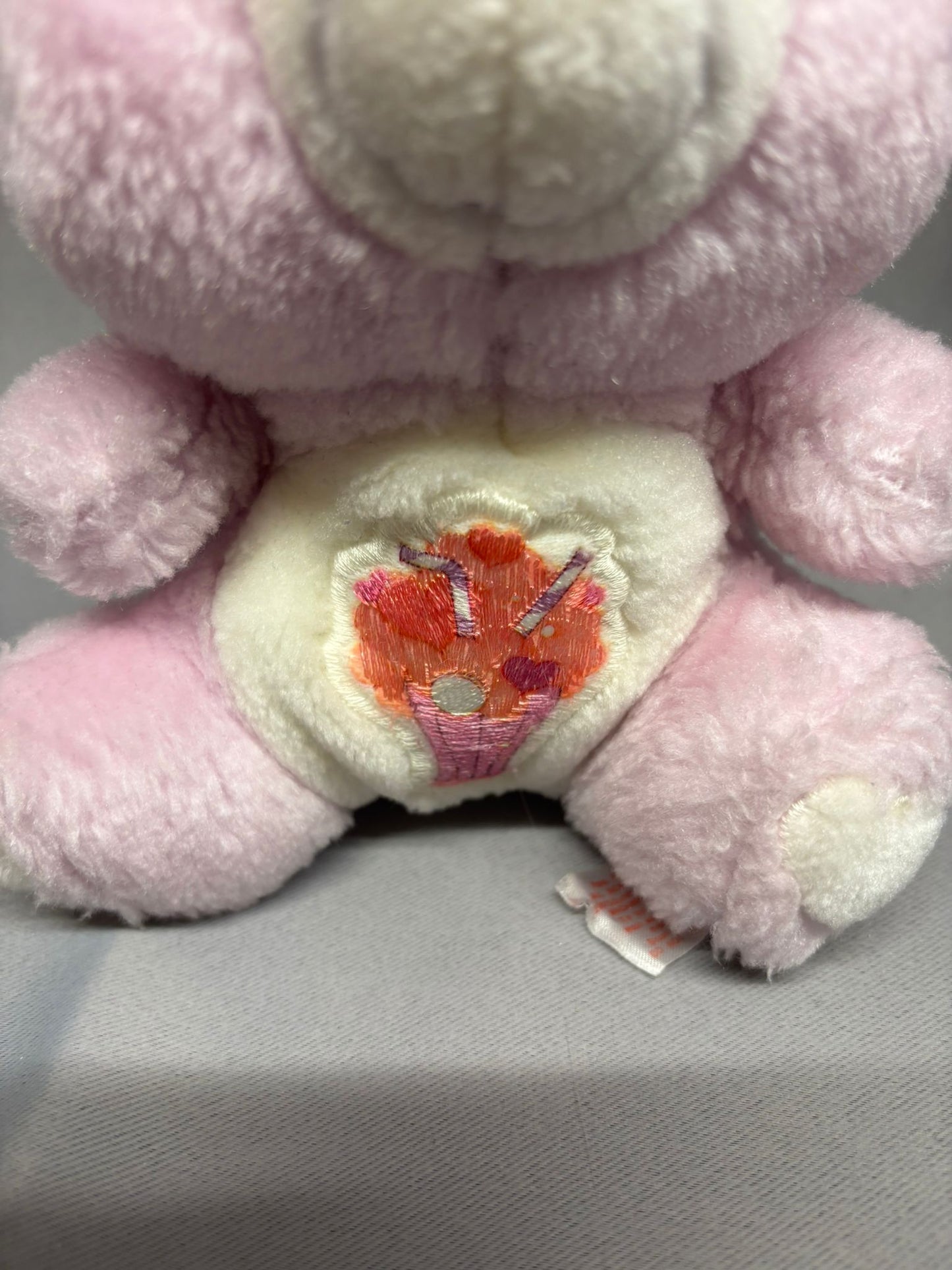 Vintage Original 1980's Care Bear 8" Share Bear Plush Pre-love